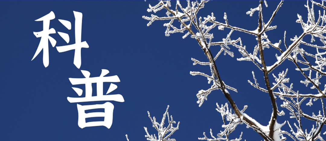 科普 | 冬季雨雪天氣?；愤\(yùn)輸車(chē)輛注意事項(xiàng)